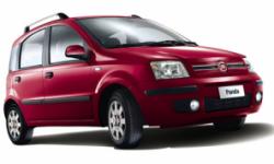 Panda yeniden Türkiye'de 