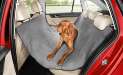 Skoda, evcil dostlarımızı da düşünüyor